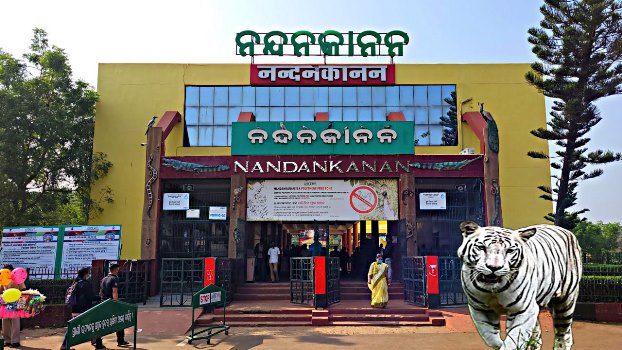 Nandankanan Zoological Park, Bhubaneswar - White Tiger Safari and Botanical Garden