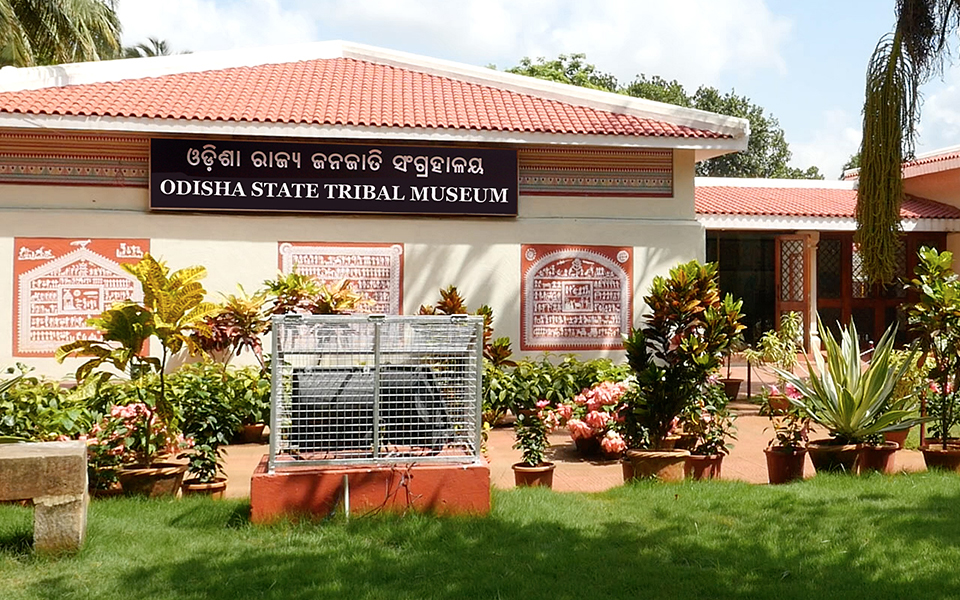 Odisha State Tribal Museum, Bhubaneswar - Cultural Heritage Experience